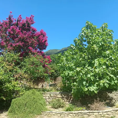 Le D'alice Mons (Herault)
