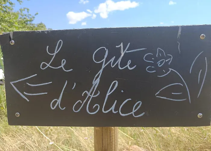 Le D'alice